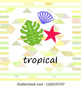 starfish shell tropical plant vector background