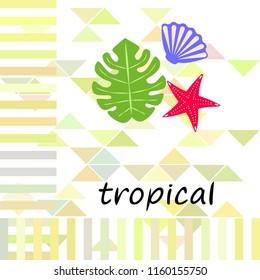 starfish shell tropical plant vector background