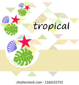 starfish shell tropical plant vector background