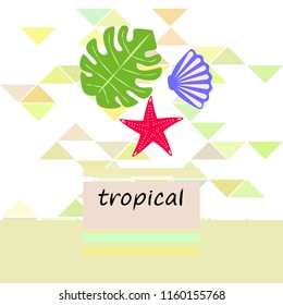 starfish shell tropical plant vector background