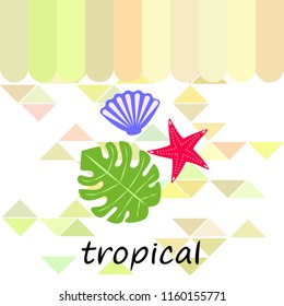 starfish shell tropical plant vector background