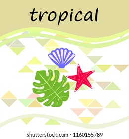 starfish shell tropical plant vector background
