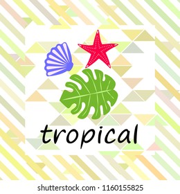 starfish shell tropical plant vector background