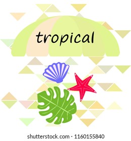 starfish shell tropical plant vector background