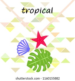 starfish shell tropical plant vector background