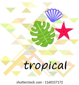 starfish shell tropical plant vector background