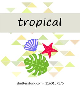 starfish shell tropical plant vector background