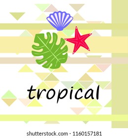 starfish shell tropical plant vector background