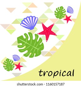 starfish shell tropical plant vector background