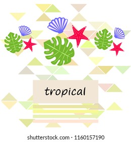 starfish shell tropical plant vector background
