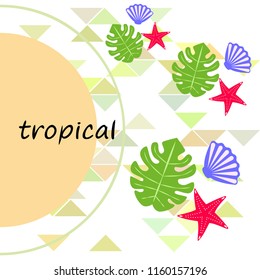 starfish shell tropical plant vector background