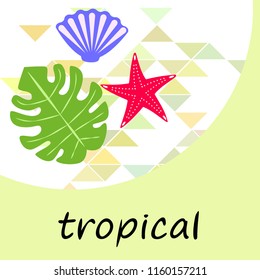 starfish shell tropical plant vector background