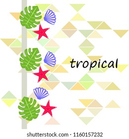 starfish shell tropical plant vector background