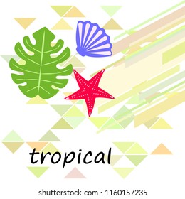 starfish shell tropical plant vector background