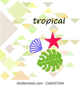 starfish shell tropical plant vector background
