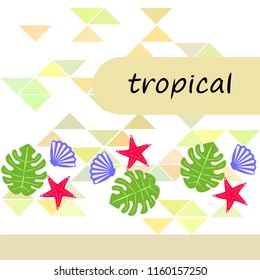 starfish shell tropical plant vector background