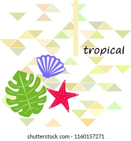 starfish shell tropical plant vector background