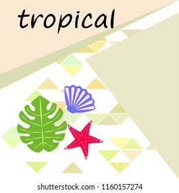 starfish shell tropical plant vector background