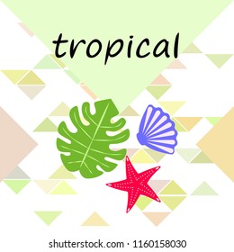 starfish shell tropical plant vector background