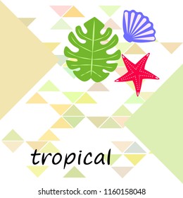 starfish shell tropical plant vector background