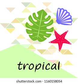 starfish shell tropical plant vector background