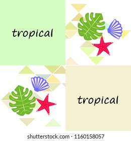 starfish shell tropical plant vector background
