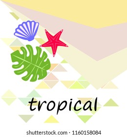starfish shell tropical plant vector background