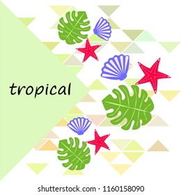 starfish shell tropical plant vector background