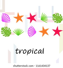 starfish shell tropical plant vector background