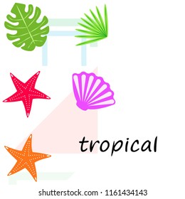 starfish shell tropical plant vector background