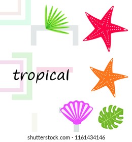 starfish shell tropical plant vector background