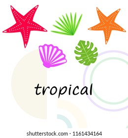 starfish shell tropical plant vector background