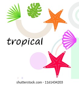 starfish shell tropical plant vector background