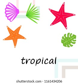 starfish shell tropical plant vector background