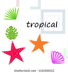 starfish shell tropical plant vector background