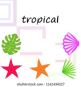 starfish shell tropical plant vector background