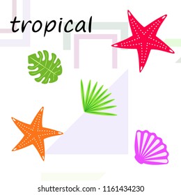 starfish shell tropical plant vector background