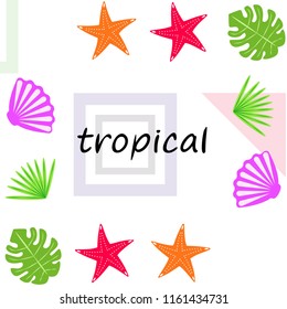 starfish shell tropical plant vector background