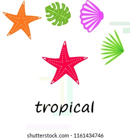 starfish shell tropical plant vector background
