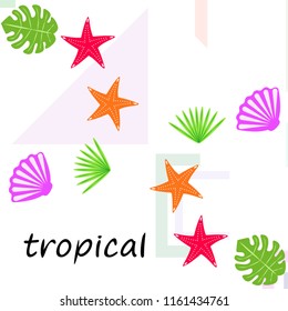 starfish shell tropical plant vector background