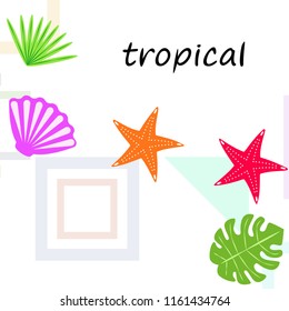 starfish shell tropical plant vector background