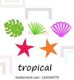 starfish shell tropical plant vector background