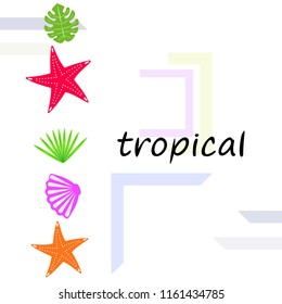 starfish shell tropical plant vector background