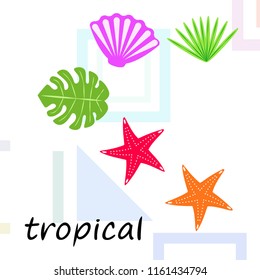 starfish shell tropical plant vector background