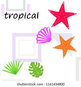 starfish shell tropical plant vector background
