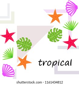 starfish shell tropical plant vector background
