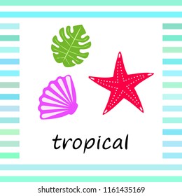 starfish shell tropical plant vector background