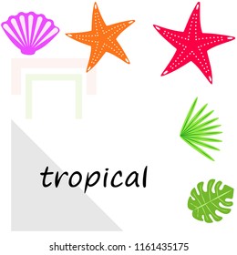 starfish shell tropical plant vector background