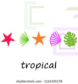 starfish shell tropical plant vector background
