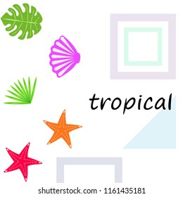 starfish shell tropical plant vector background